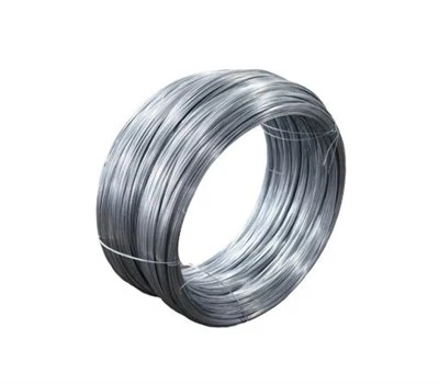 Filo di acciaio zincato da 0,6 mm